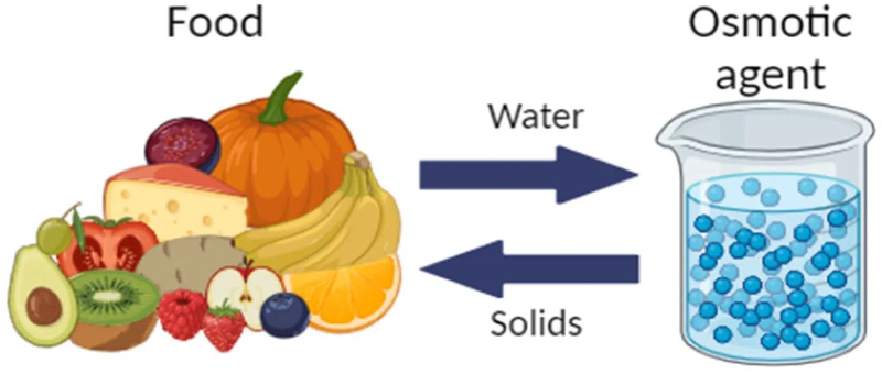 osmotic dehydration machine