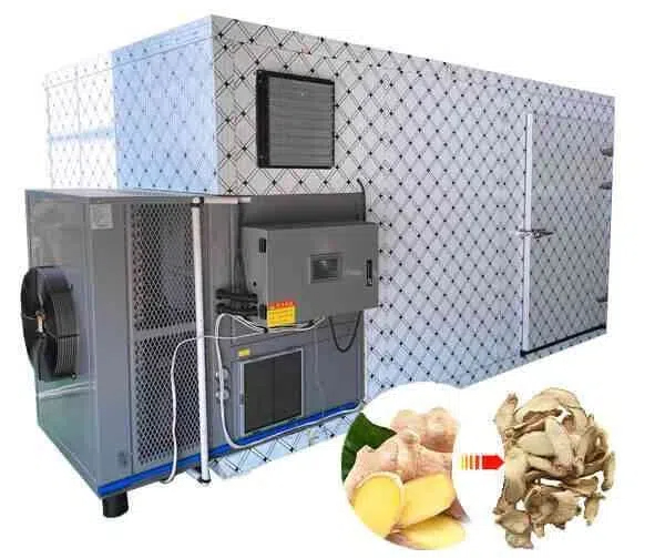 How To Choose The Right Ginger Dehydration Machine for Business?