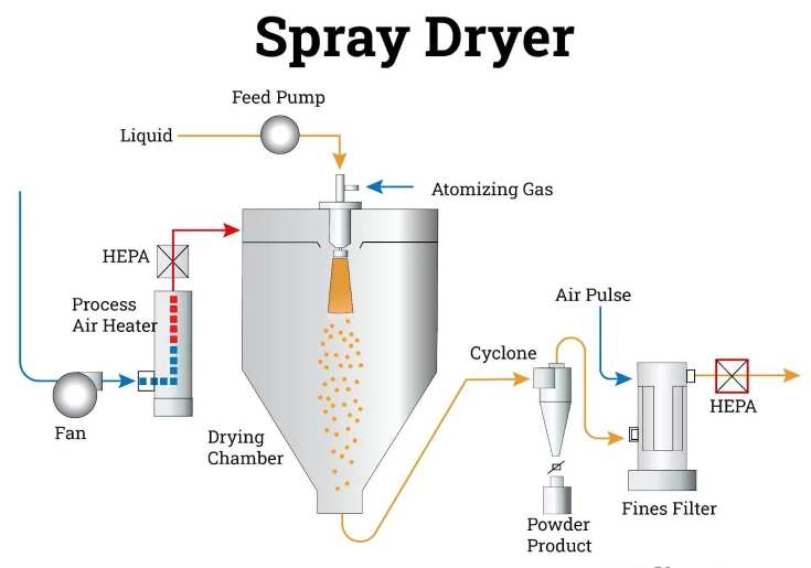 The Role of Negative Pressure in Penetration Type Dryers1