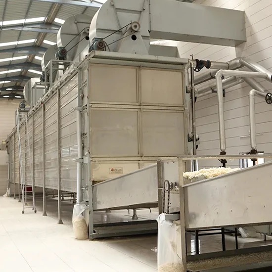 onion dehydration machine india1