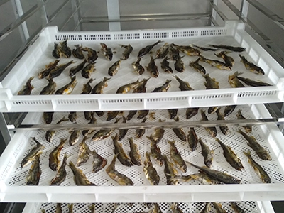 fish drying machine