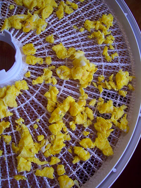 can you dehydrate eggs in a food dehydrator3
