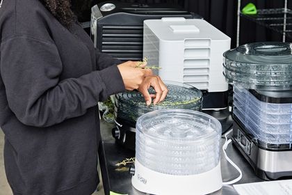 Using A Cabinet Type Dehydrator for Herbs Techniques And Benefits1