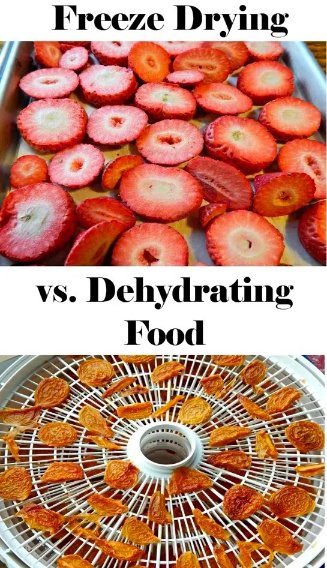 is a food dehydrator and freeze dryer the same2