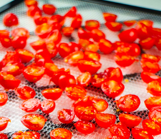 How Can A Food Dehydrator Help Preserve Fruits And Vegetables?