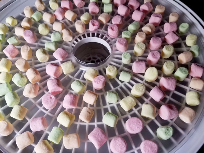 can you freeze dry candy in a food dehydrator3