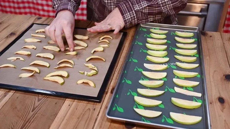 what's the difference between food dehydrator and freeze dryer2