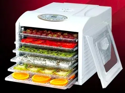 fruit dryer machine in sri lanka4