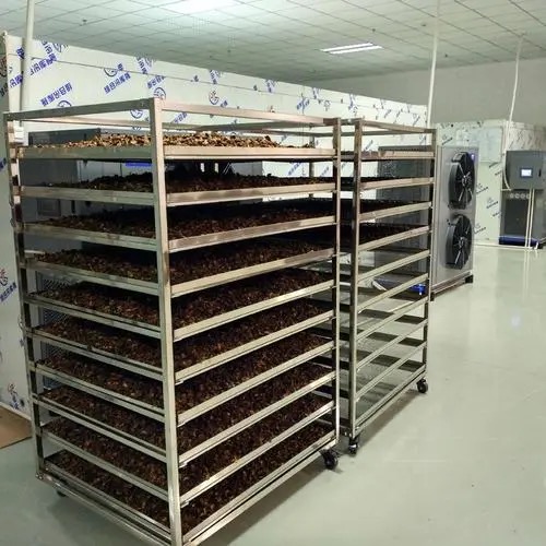 fruit dryer machine singapore4