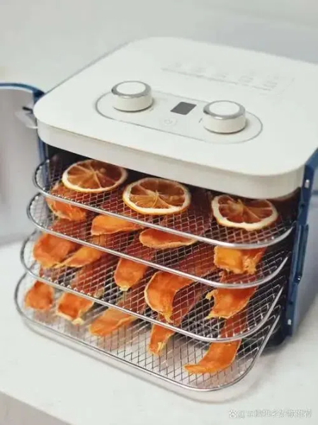 YouTube's Favorite Dryer Machines for Healthy Snacks