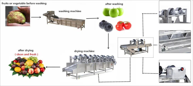 fruit drying machine food dehydrator3