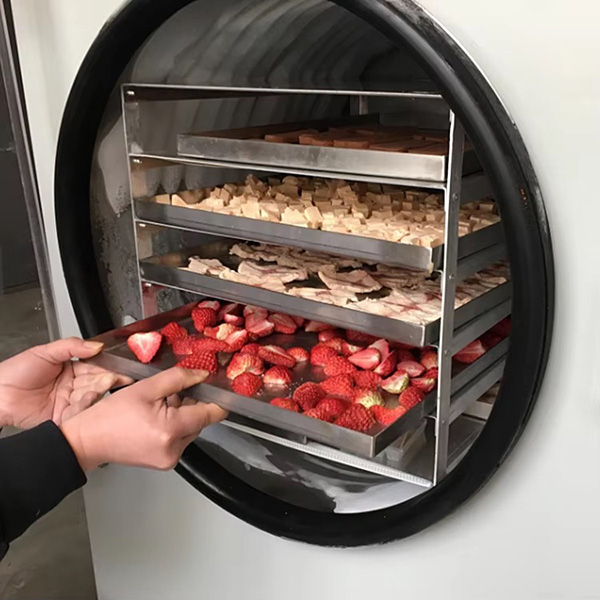 freeze dried food machine8