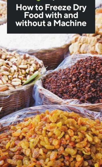 To Freeze Drying Food Without Expensive Equipment