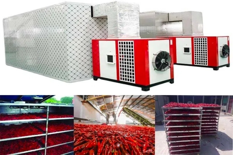 Choosing The Right Food Drying Machine Supplier