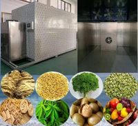 //imrorwxhrornlq5q.ldycdn.com/cloud/llBpjKnllpSRrlolmjqpjp/Room-Type-Drying-Machines-Understanding-The-Technology.jpg