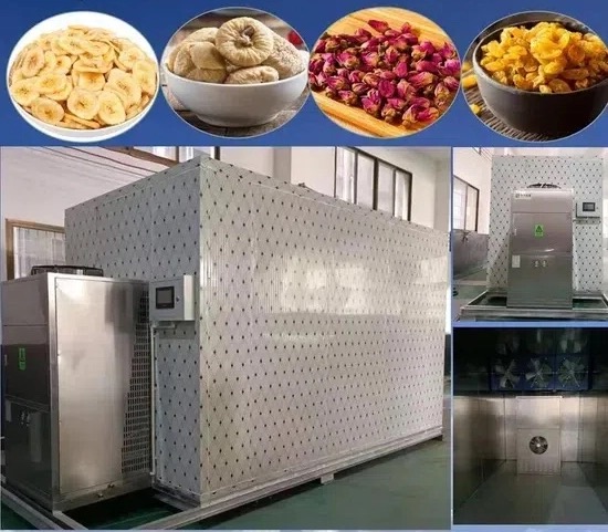 Room Type Drying Machines Tips for First-Time Buyers