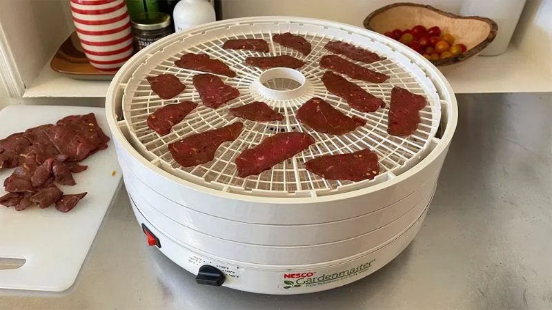 Troubleshooting Common Issues with Your Cabinet Type Dehydrator1