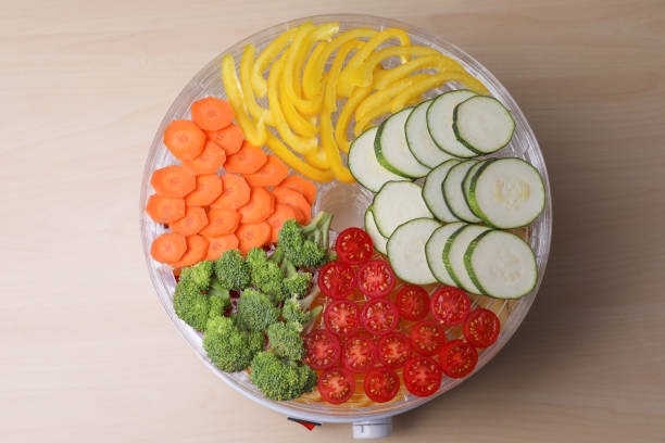Best Practices for Using Your Cabinet Type Dehydrator Effectively