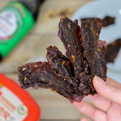 how to use a food dehydrator for jerky1
