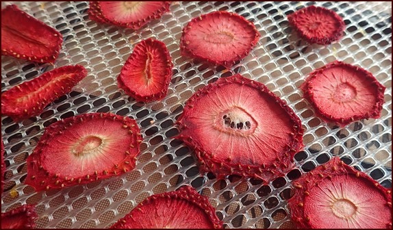 how to dehydrate strawberries in a food dehydrator1