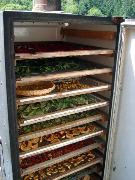 how to make a homemade food dehydrator