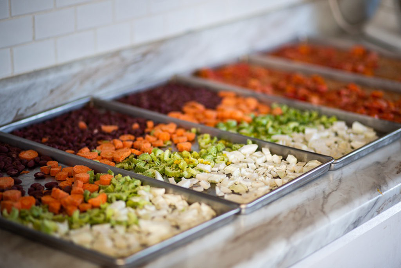 does a food dehydrator freeze dry2