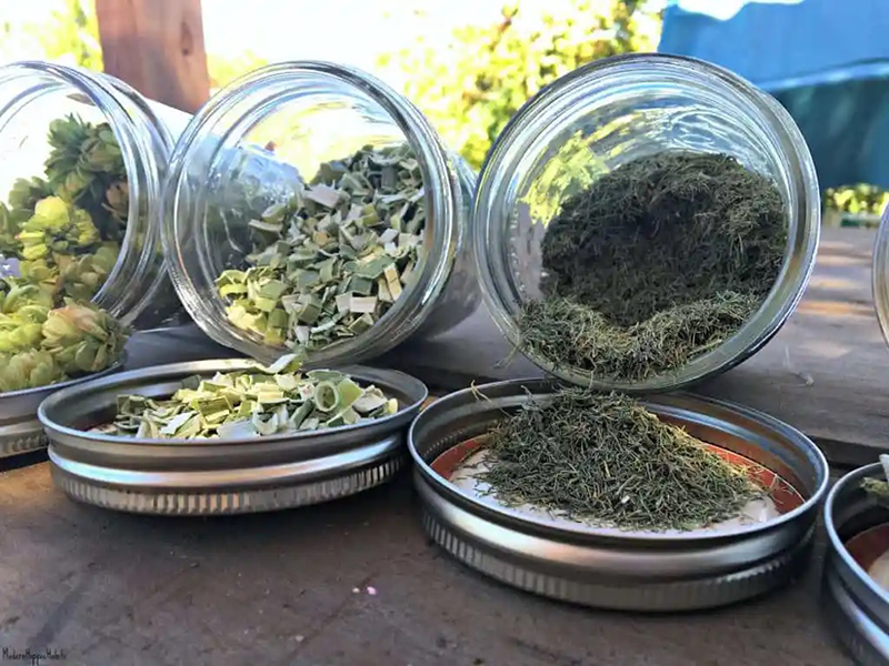 How Long To Dehydrate Herbs in Food Dehydrator?