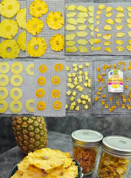 how to dry pineapple in a food dehydrator2