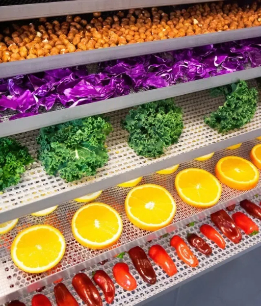 Versatile Applications of The Cabinet Type Dehydrator in Food Processing