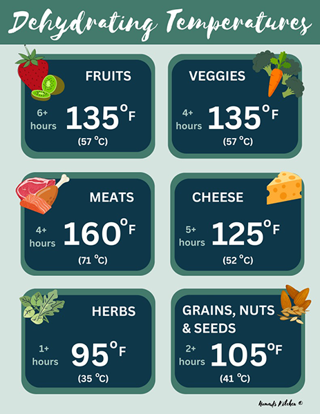 what temperature is a food dehydrator1