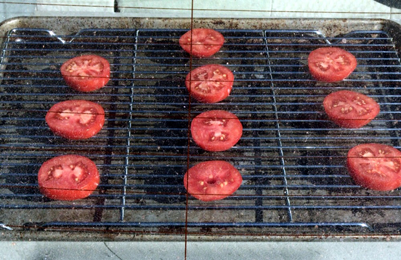 Can You Dehydrate Food without A Dehydrator?
