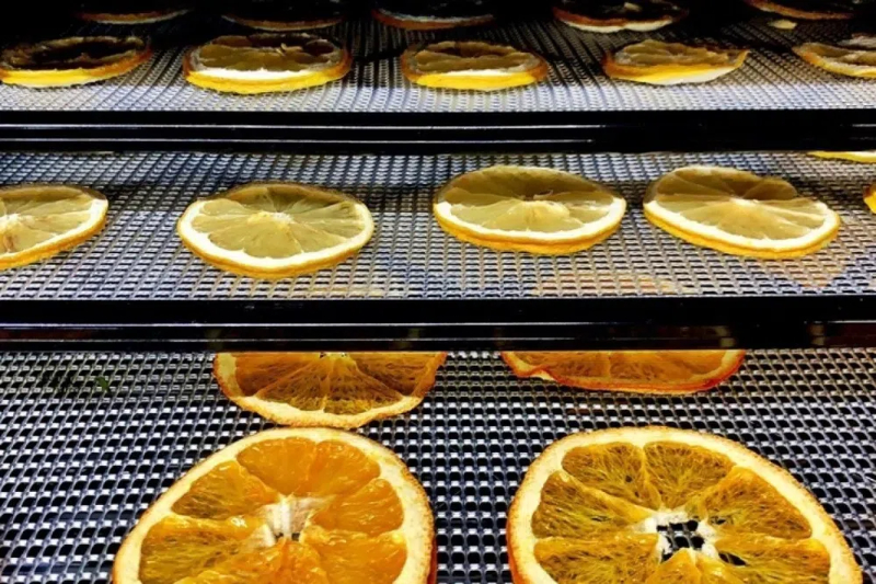 What Is A Food Dehydrator Good for?