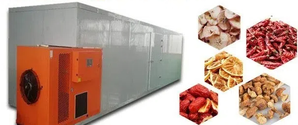 what can you put in a food dehydrator2