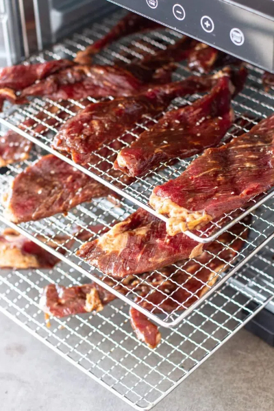 what is the best food dehydrator for beef jerky2