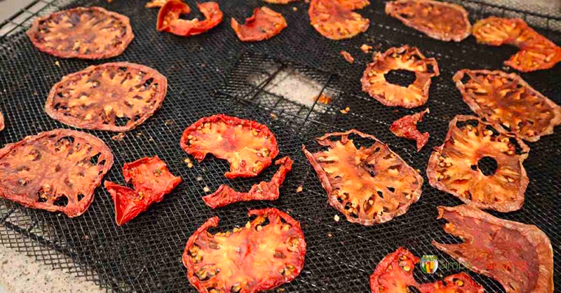 how to dry tomatoes in food dehydrator3