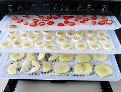 how do you use a food dehydrator1