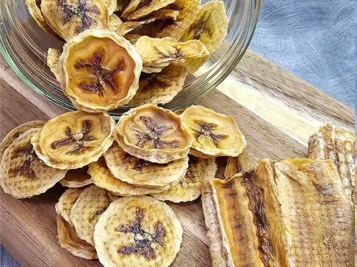what is a food dehydrator2