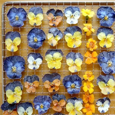 Can You Use A Food Dehydrator To Dry Flowers?