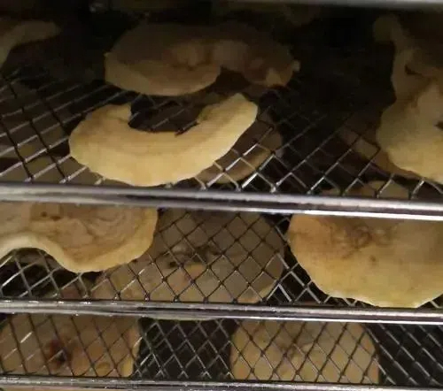 The Rising Popularity of Food Dehydrators in Singapore