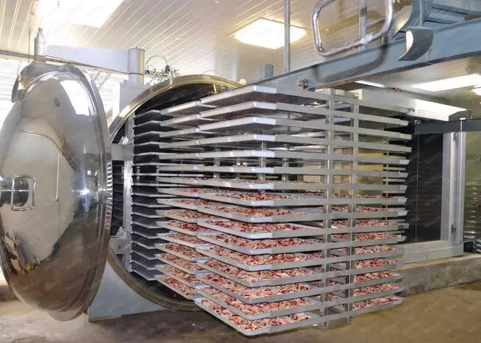 fruit dryer machine malaysia2
