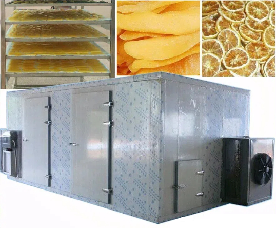 fruit dryer machine manufacturers4