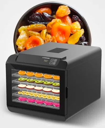 How Fruit Dryer Machines Are Changing Healthy Eating?
