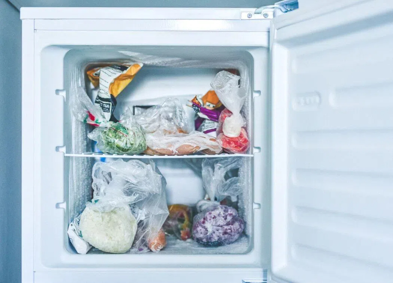 freeze dry food without a machine2