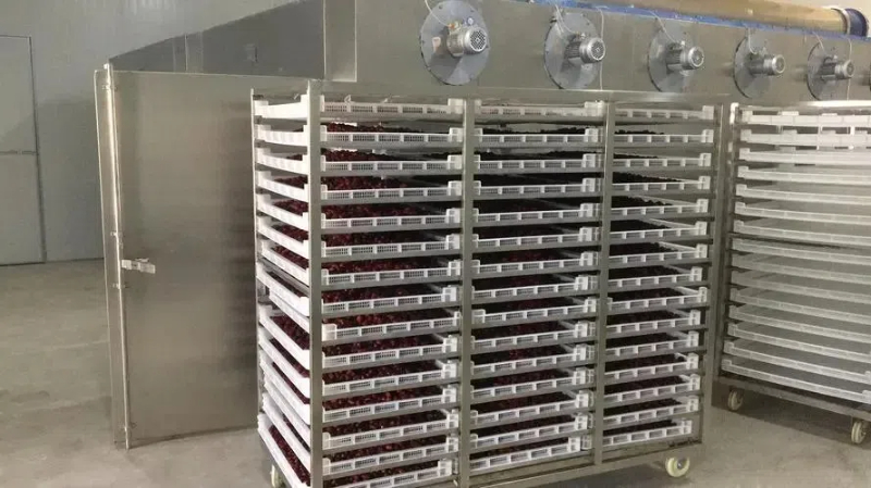 Versatile Food Drying Machines for Every Kitchen