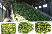 //imrorwxhrornlq5q.ldycdn.com/cloud/lmBpjKnllpSRrlrljoqjjo/vegetable-dehydration-machine-cost1.jpg