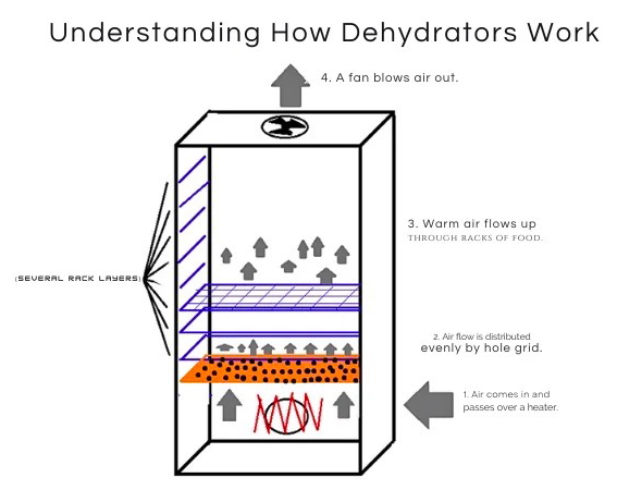 how does a food dehydrator work1