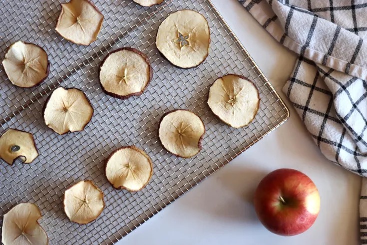 What Can You Do with A Food Dehydrator?
