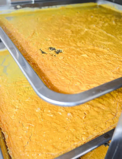 how to dehydrate eggs in a food dehydrator1