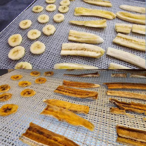 What Features Should You Look for in A Food Dehydrator?