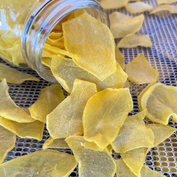 how to dehydrate potatoes in a food dehydrator1
